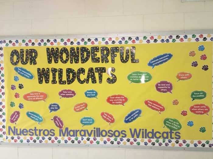 Wildcats Bulletin Board